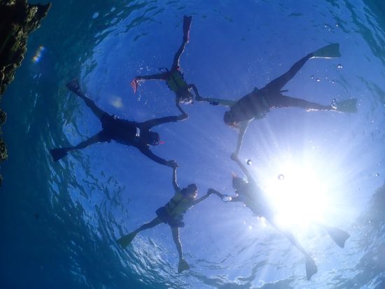 幻の島上陸＆シュノーケリング お魚たくさん！サンゴ礁が広がるポイントを水中散歩 ウミガメと一緒に写真を撮ろう♪＜半日・1日／昼食付プランあり／石垣島＞