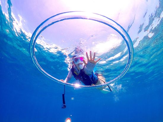 幻の島上陸＆体験ダイビング 選べる3プラン シュノーケリング付プランあり 国内最大級のサンゴ礁石西礁湖へ＜半日・1日／昼食付プランあり／石垣島＞