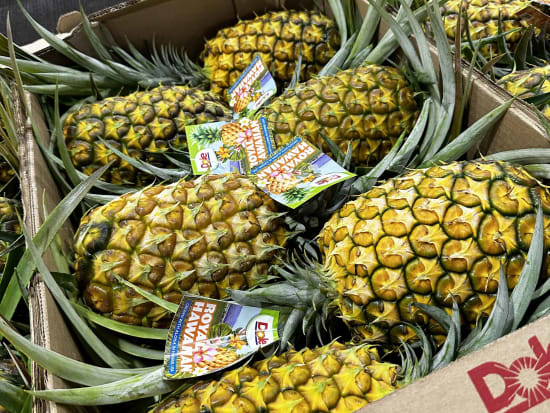 dole pineapple cannery tour honolulu