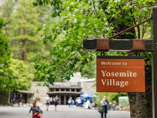 Day Trips - 6643 San Francisco- Muir Woods, Giant Redwoods, & Sausalito Tour- 127 - Copy