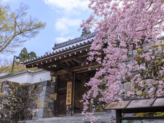 比叡山＋大原三千院 バスツアー最澄ゆかりの世界遺産 延暦寺と洛北大原の地へ＜昼食付／京都駅発／1日＞by おこしバス（京都定期観光バス）