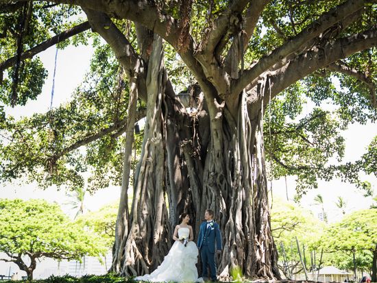 カピオラニ公園３