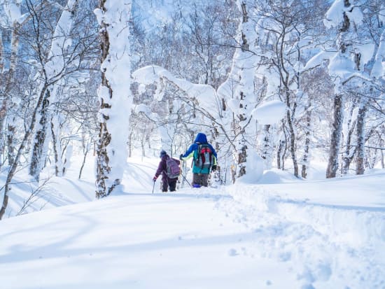 壮瞥 オロフレ峠ビギナー向けスノーシューツアー 雪の結晶や樹氷が見られるかも⁉＜1～3月／中学生以上参加OK／登別adex base集合＞