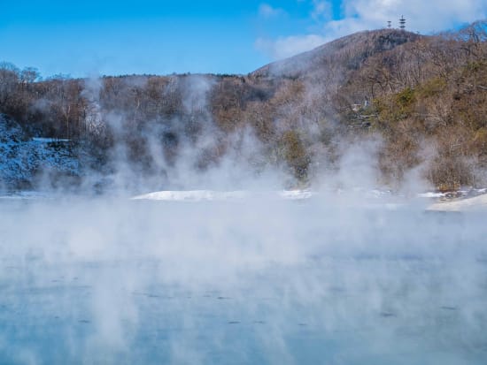 登別 大湯沼 ビューポイントツアー  雪景色の中、原始林を歩き立ち昇る湯気を楽しむ ＜1～3月／小学生以上参加OK／登別adex base集合＞