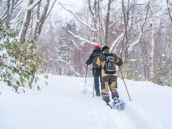 登別 氷筍探索スノーシュー　冬の限定約10週間限定催行！にょろにょろを探しにでかけるロングスノーシュー散策＜1～2月／登別adex base集合＞