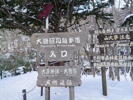 登別 大湯沼 ビューポイントツアー  雪景色の中、原始林を歩き立ち昇る湯気を楽しむ ＜1～3月／小学生以上参加OK／登別adex base集合＞