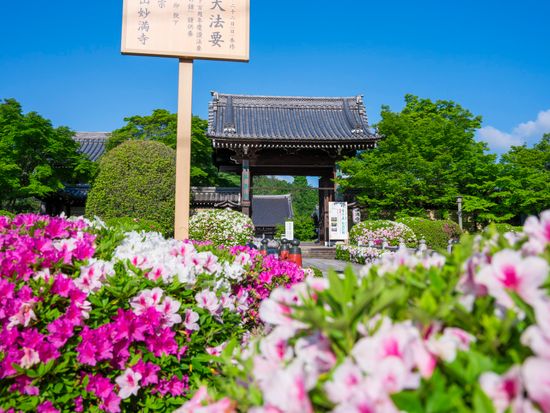 妙満寺_92974500_M