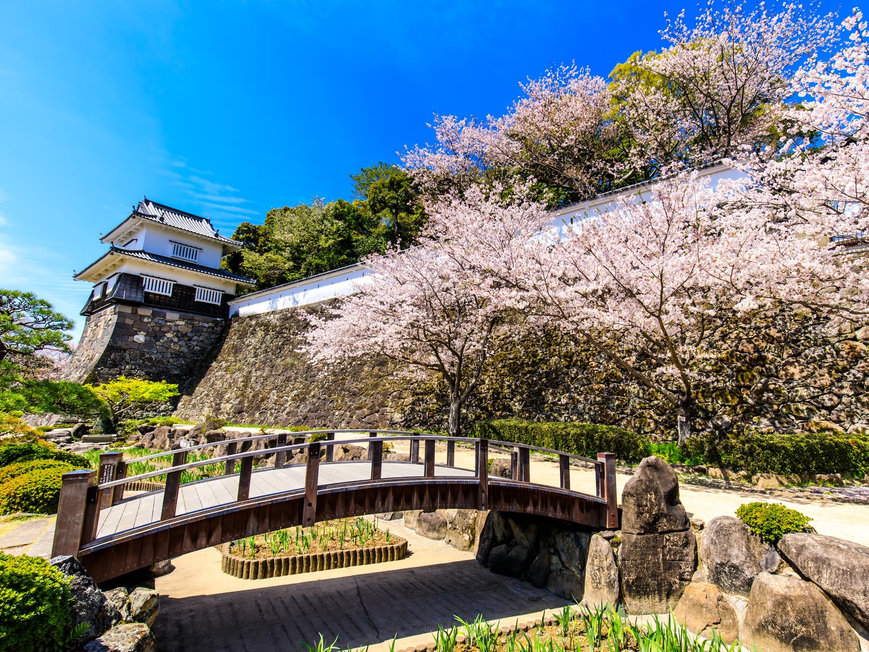 3/30限定＆催行確定】福岡発日帰りバスツアー ふたつ星4047乗車＋「大村公園」の桜 ＜特製ふたつ星弁当付き／天神高速バスターミナル発＞  by西鉄旅行 | 福岡の観光&遊び・体験・レジャー専門予約サイト VELTRA(ベルトラ)