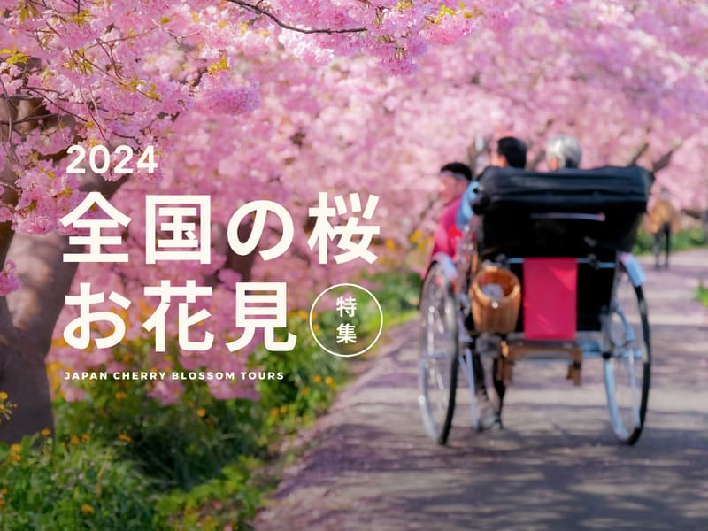 桜・お花見の国内アクティビティ特集2024 | 日本の観光&遊び・体験