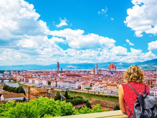 ヴェッキオ宮殿＆レオナルド・ダ・ヴィンチゆかりの地を巡る＜貸切／日本語ガイド＞Max Harvest