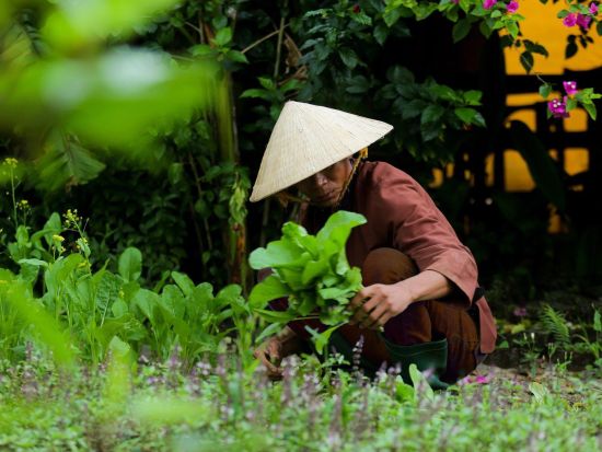 ホイアン観光ツアー　ビーチ沿い絶景カフェ「ザ デック ハウス」＋チャークエ村＋オーガニックコスメのショッピング＜レウのオーガニック農園ランチ付き／日本語ガイド＞