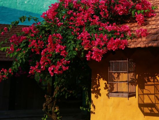 ホイアン観光ツアー　ビーチ沿い絶景カフェ「ザ デック ハウス」＋チャークエ村＋オーガニックコスメのショッピング＜レウのオーガニック農園ランチ付き／日本語ガイド＞