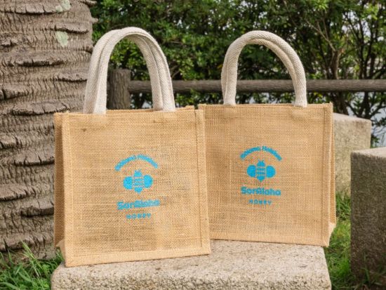 バン貸切チャーター　ベテランガイドがご案内！あなただけのオーダーメイドツアー＜1～7名／4～12時間／日本語ガイド／空港送迎可＞