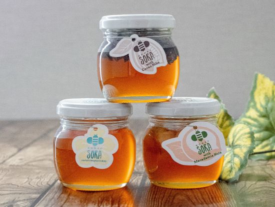 バン貸切チャーター　ベテランガイドがご案内！あなただけのオーダーメイドツアー＜1～7名／4～12時間／日本語ガイド／空港送迎可＞