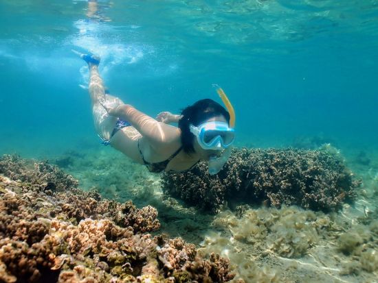 奄美大島SUPツアー　最大3名様までの超少人数制で安心　奄美ブルーをたっぷり満喫！初心者向けまたは経験者向けの選べる2プラン ＜約2時間＞ by Maze奄美