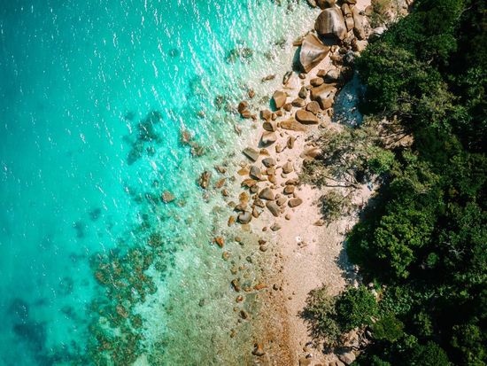 gallery-hx8sca0zb1usox0ckgbxj