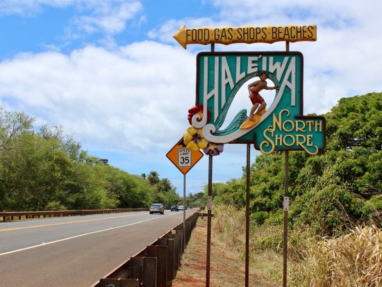 貸切日本語チャーターツアー　初めてのハワイ　リクエスト最多人気エリアスポット厳選コースで制覇