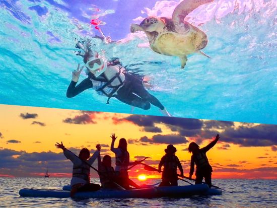 ウミガメシュノーケリング＋サンセットSUP 人気アクティビティを同時に楽しむ贅沢プラン ウミガメ遭遇率99%！＜約4時間／当日予約可／宮古島＞