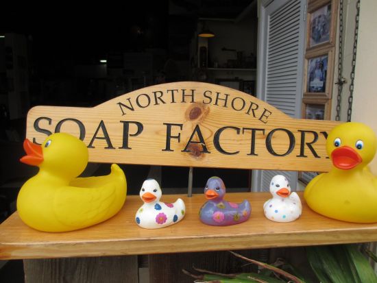 ノースショア（ハレイワ）観光　カヤックまたはSUP体験でウミガメウォッチング＋ハレイワの町散策　選べるランチ付き＜1日／日本語ガイド＞