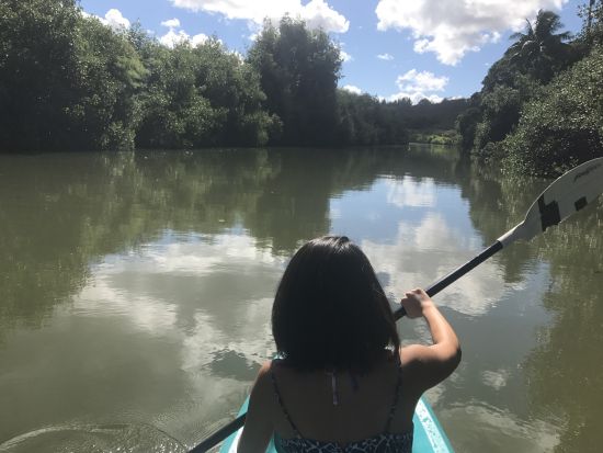 ノースショア（ハレイワ）観光　カヤックまたはSUP体験でウミガメウォッチング＋ハレイワの町散策　選べるランチ付き＜1日／日本語ガイド＞