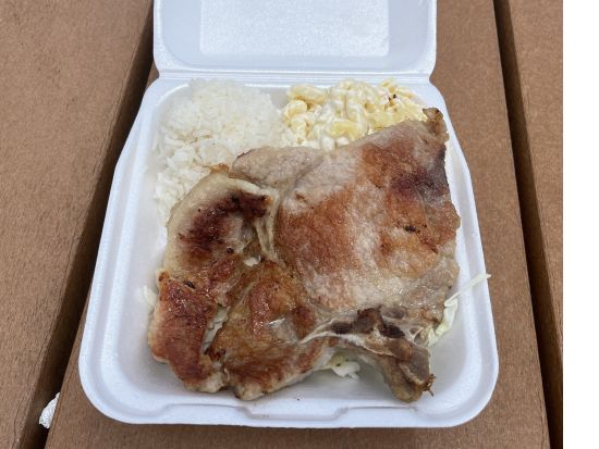 オアフ島西海岸観光ツアー　ホノルル鉄道「Skyline」＋コオリナ散策　絶景ピンクピルボックスまたはオーシャンフロントレストランから選べる＜1日／日本語ガイド＞