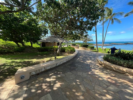 コオリナランチ場所３