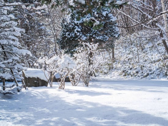 登別 家族で楽しめるスノーシュー体験ツアー  ふわふわ雪にダイブしたり、ソリすべり等の雪遊びを満喫＜1～3月／小学生以上参加OK／登別adex base集合＞