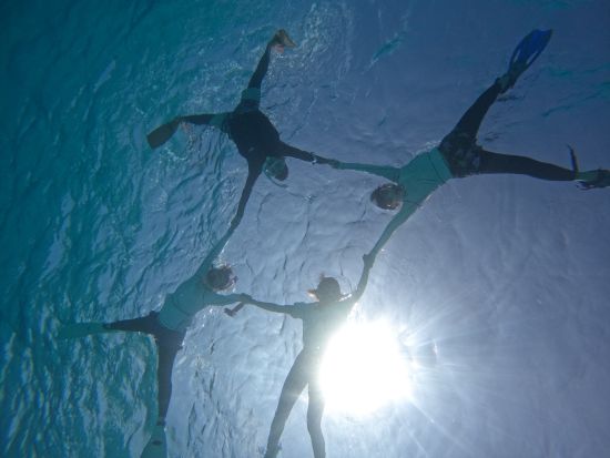 座間味島シュノーケリング 色鮮やかなサンゴや迫力満点のウミガメに出会えるかも♪ 選べる2コース＜約1時間半～2時間半＞