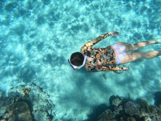 座間味島シュノーケリング 色鮮やかなサンゴや迫力満点のウミガメに出会えるかも♪ 選べる2コース＜約1時間半～2時間半＞