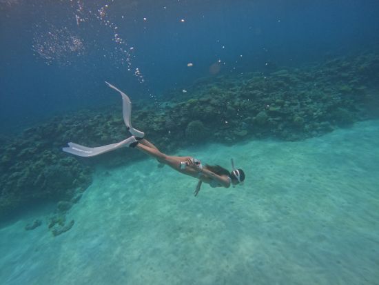 【座間味島】ボートシュノーケリング 船に乗って綺麗なポイントを泳ごう♪ 選べる2コース＜約2時間半～3時間＞