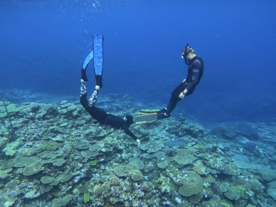 【座間味島】ボートシュノーケリング 船に乗って綺麗なポイントを泳ごう♪ 選べる2コース＜約2時間半～3時間＞