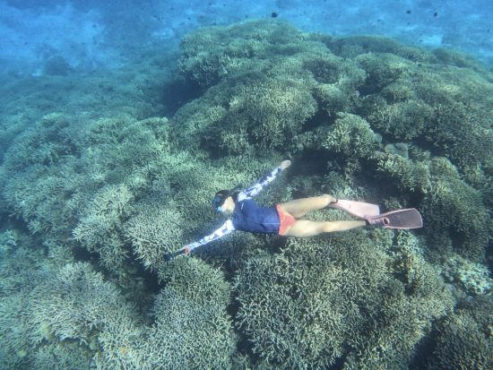 【座間味島】ボートシュノーケリング 船に乗って綺麗なポイントを泳ごう♪ 選べる2コース＜約2時間半～3時間＞