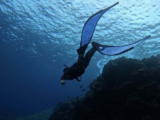 【座間味島】ボートシュノーケリング 船に乗って綺麗なポイントを泳ごう♪ 選べる2コース＜約2時間半～3時間＞