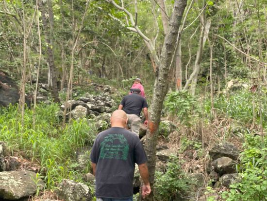 Photo Jan 16 2024, 11 08 14 AM