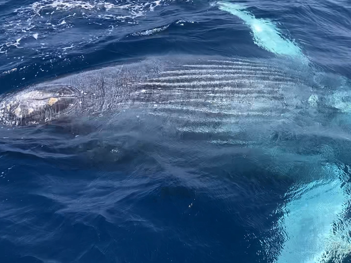 20240227022216_334791818_16820