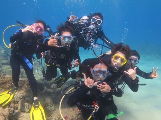 ファンダイビング　自社ボート利用！ワイキキ沖で沈船やウミガメなどハワイ固有の海洋生物を観察＜ボート／2ダイブ／日本語＞by ブリーズハワイ