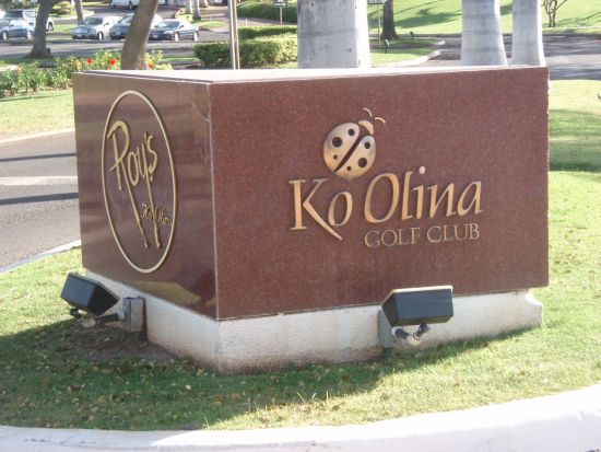 コオリナ地区送迎シャトルサービス　コオリナにたっぷり5時間滞在！＜午前／日本語ドライバー／DFSワイキキ発＞