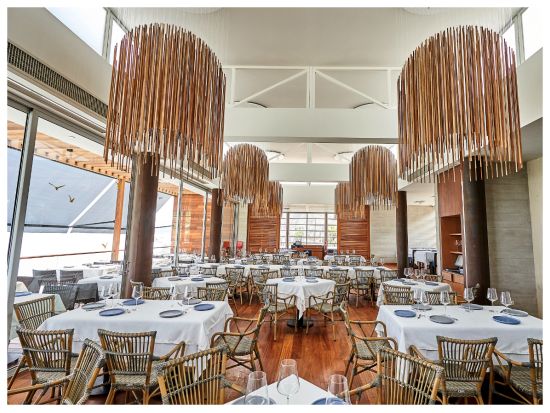 ペルーの伝統料理「ティラディート」と伝統カクテル「ピスコサワー」実演！選べる3コースランチ付き＜混載／英語ガイド／リマ発＞