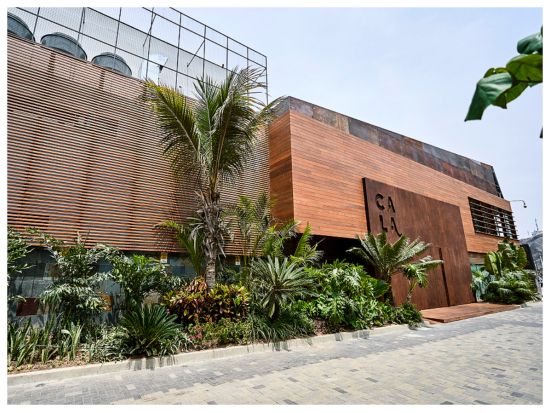 ペルーの伝統料理「ティラディート」と伝統カクテル「ピスコサワー」実演！選べる3コースランチ付き＜混載／英語ガイド／リマ発＞