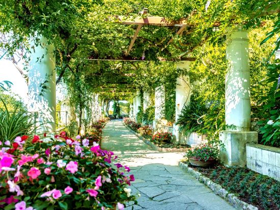 カプリ島日帰りツアー ナポリ～カプリ島往復船＆アウグスト庭園入場付＜英語／混載／往路お迎え／ナポリ発＞