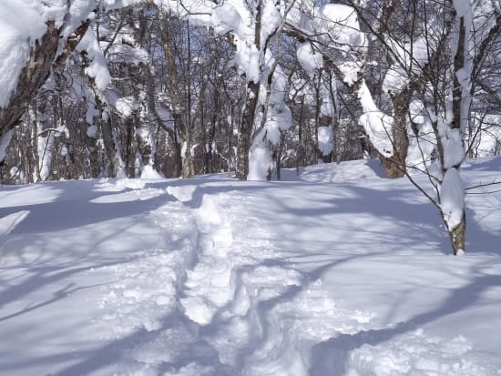 壮瞥 オロフレ峠ビギナー向けスノーシューツアー 雪の結晶や樹氷が見られるかも⁉＜1～3月／中学生以上参加OK／登別adex base集合＞