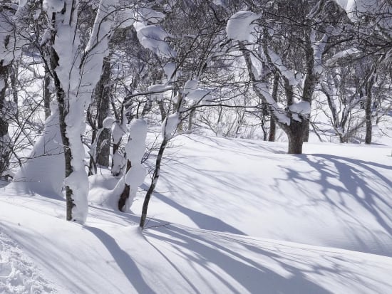 壮瞥 オロフレ峠ビギナー向けスノーシューツアー 雪の結晶や樹氷が見られるかも⁉＜1～3月／中学生以上参加OK／登別adex base集合＞