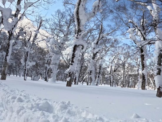 壮瞥 オロフレ峠ビギナー向けスノーシューツアー 雪の結晶や樹氷が見られるかも⁉＜1～3月／中学生以上参加OK／登別adex base集合＞