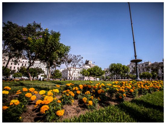 世界遺産リマ歴史地区プライベート観光ツアー！恋人たちの公園にもご案内＜3時間／貸切／日本語or英語ガイド／リマ発＞