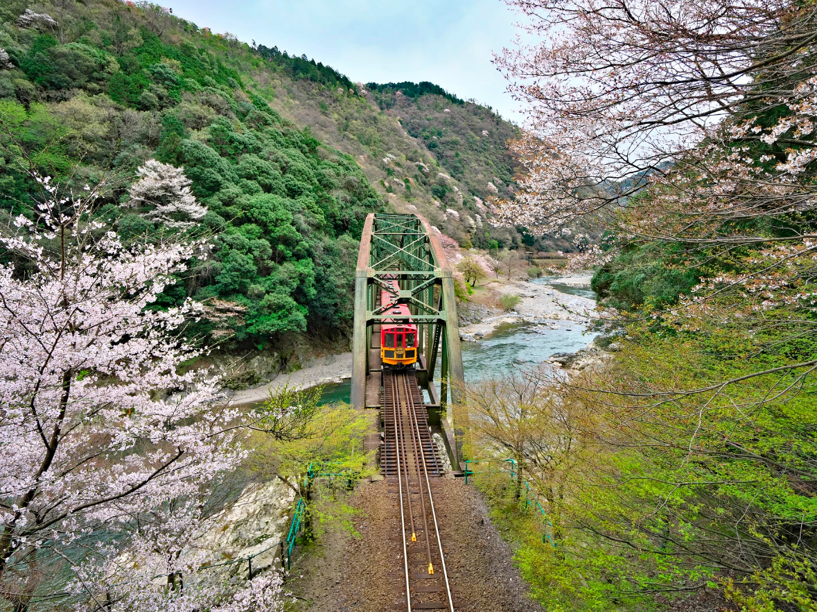 Sagano Romantic Train in spring