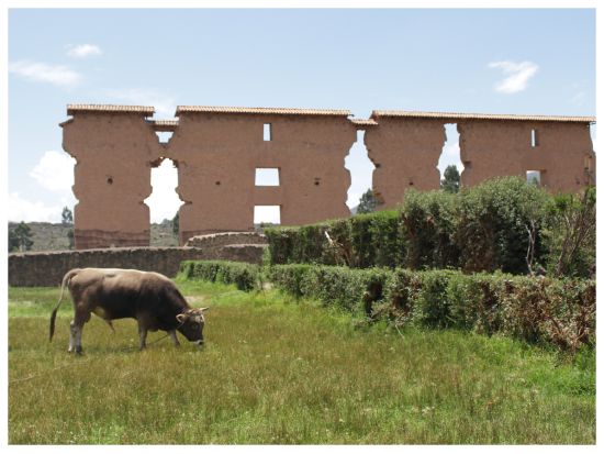 プーノ発クスコ行き高速バス！途中の観光スポット立ち寄り＆昼食付き＜1日／混載／英語ガイド／プーノ発＞