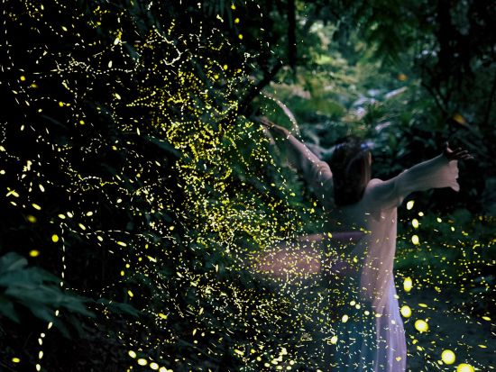 【石垣島/夕方】《期間限定》☆0歳～2歳まで無料！☆天然イルミネーション☆ヤエヤマヒメボタル鑑賞ツアー！送迎無料