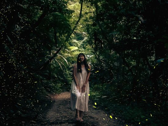 【石垣島/夕方】《期間限定》☆0歳～2歳まで無料！☆天然イルミネーション☆ヤエヤマヒメボタル鑑賞ツアー！送迎無料