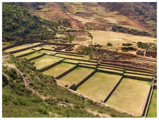 サウスバレー半日ツアー！ティポン遺跡 + ピキリャクタ + アンダワイリャス＜英語ガイド／送迎付き／クスコ発着＞