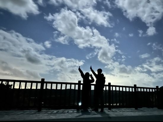 やんばるナイトツアー 世界自然遺産の森でユニークな生き物達を間近で観察♪ツアー中の記念写真プレゼント！＜2.5時間～／一組貸切＞